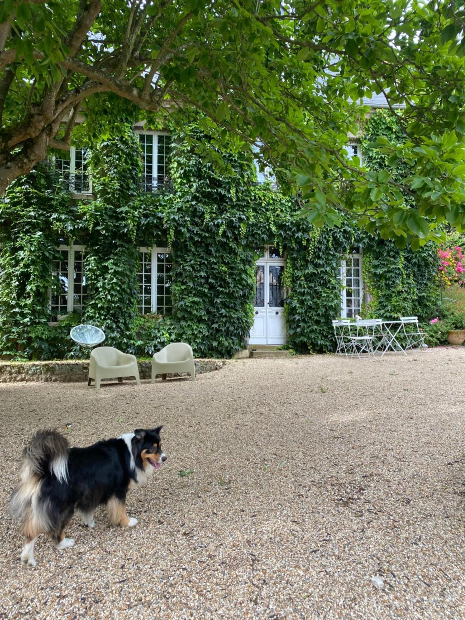 Cany-Barville La Benjamine Bed & Breakfast エクステリア 写真